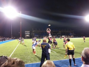 Saracens spring